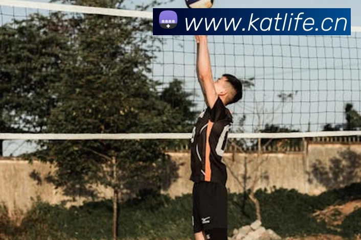 App Interface Preview