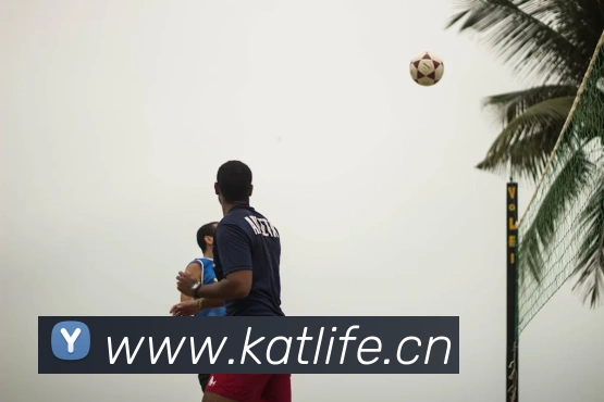 kaiyun体育官网登录入口APP 封面图